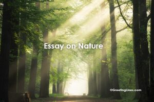 i am a nature lover essay