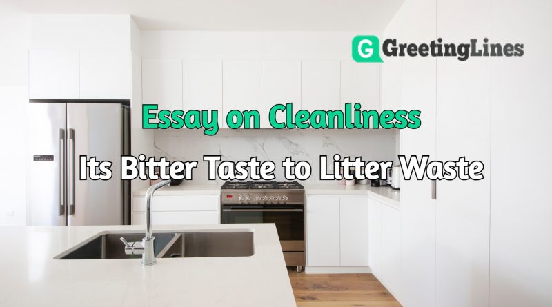 Essay on cleanliness for 800+ Words | Paragraph on cleanliness