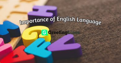 Essay on Importance of English Language 2022