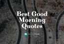 101 Best Good Morning Quotes | Good Morning Messages | For Whatsapp, Instagram and facebook
